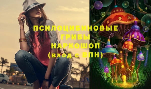 индика Алексеевка