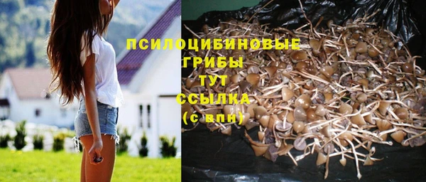 индика Алексеевка