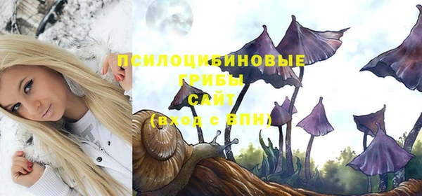 a pvp Абинск