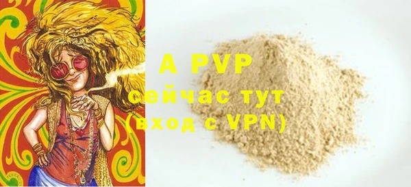 дмт Абаза