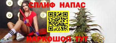 apvp Гагарин
