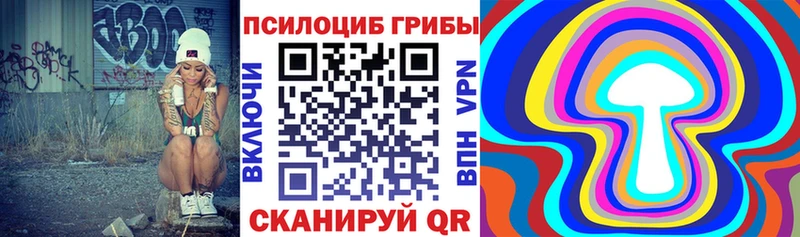 Псилоцибиновые грибы Psilocybe  купить наркоту  Белая Калитва 