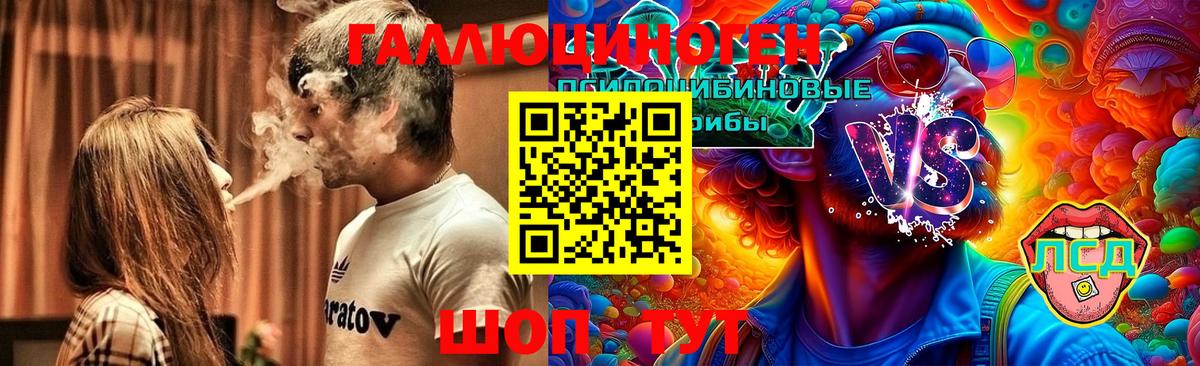 Псилоцибиновые грибы Psilocybe Белая Калитва